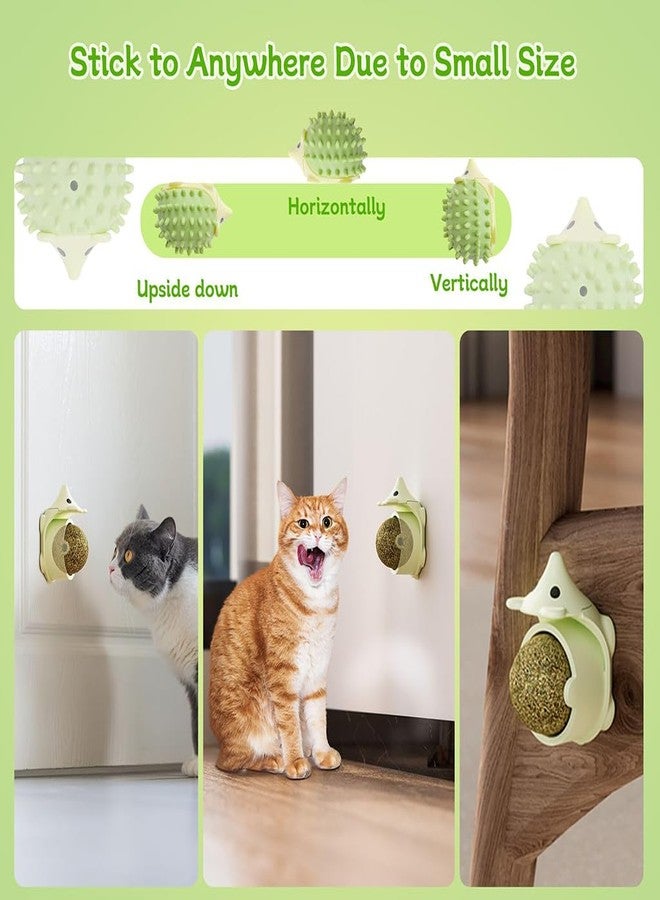 Zibuyu® Multi-Functional Interactive Hedgehog Cat Scratcher Toy with Replaceable Catnip Ball, Self-Grooming & Licking, Dust & Moisture Resistant, Wall/Floor Stick, Green, for Indoor Cats - Image 5